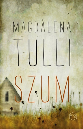 RECENZUJE: Bernadetta Darska; z Magdaleną Tulli rozmawia Sabina Misiarz-Filipek