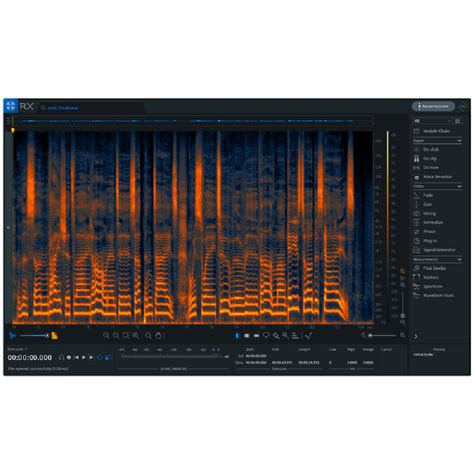 IZotope RX Elements 2025 Free Software
